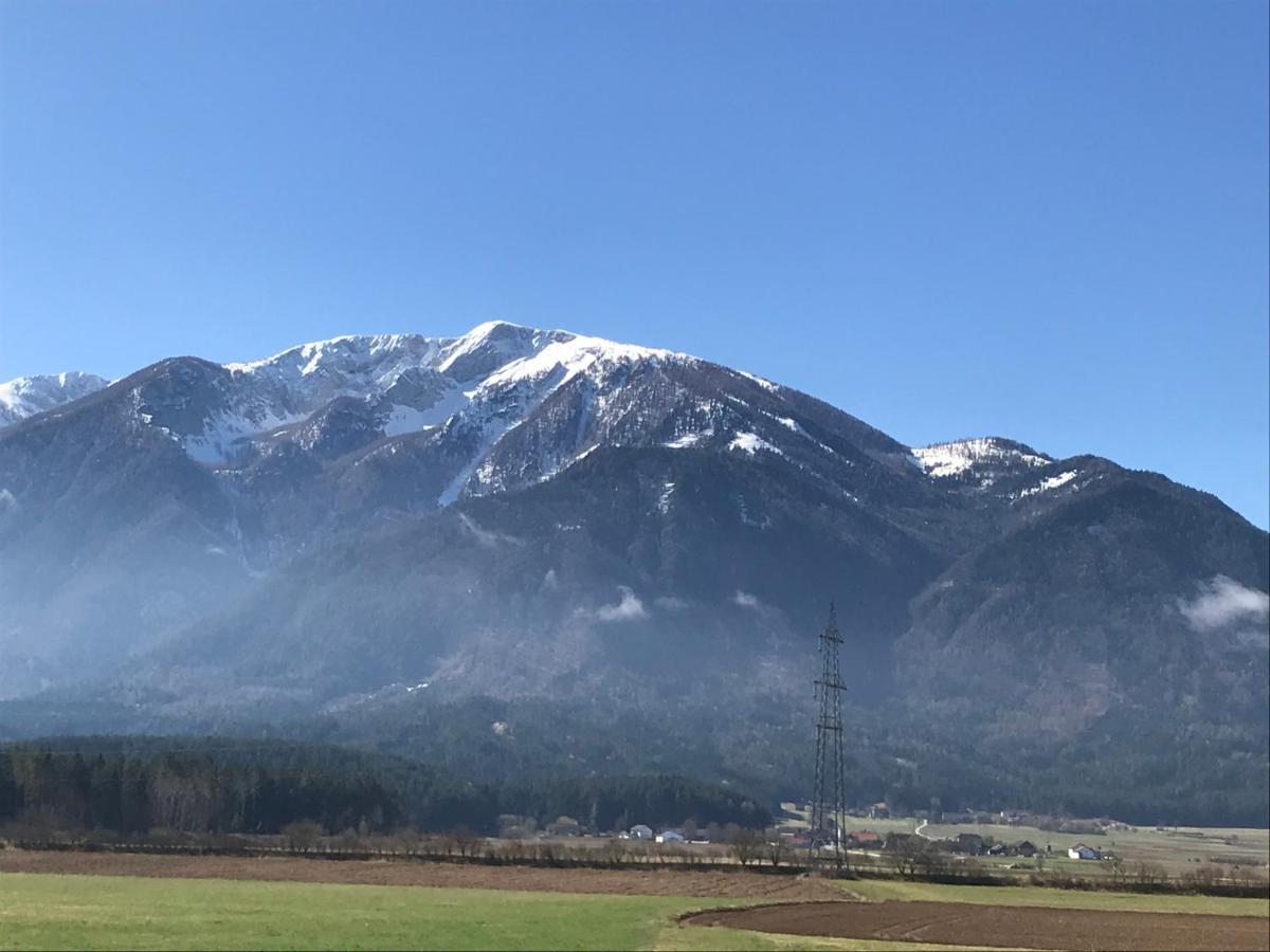 V Gemuetliches Gartenhaus Smihel nad Pliberkom المظهر الخارجي الصورة